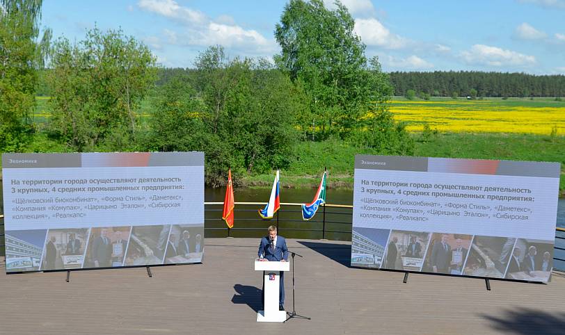 Отчет главы городского округа Лосино-Петровский