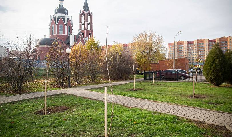 Патриотическая акция по посадке молодых деревьев на Аллее памяти г. Щёлково