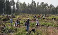 Экологическая акция «Наш лес. Посади свое дерево» в Балашихе