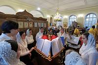 Архипастырский визит в Орехово-Зуево 