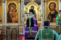 День Семьи, любви и верности в Ногинске