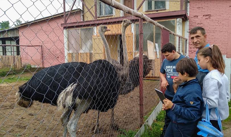 День защиты детей в Орехово-Зуевском благочинии