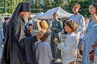 День Семьи, любви и верности в Ногинске