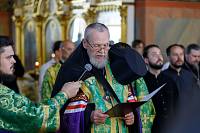 День Семьи, любви и верности в Ногинске